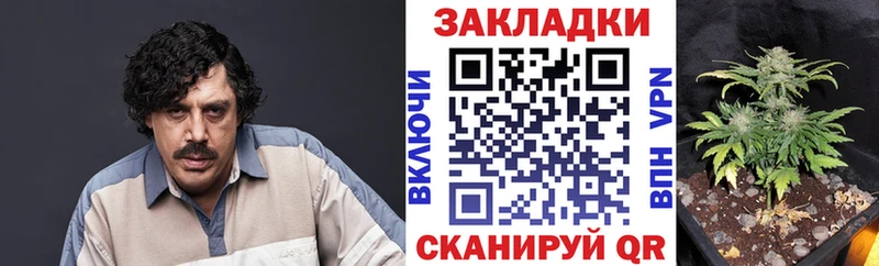 Где найти наркотики Карачев КОКАИН Каннабис МЕТАДОН ГАШ Меф мяу мяу Галлюциногенные грибы