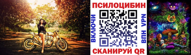 omg ТОР Карачев Псилоцибиновые грибы Magic Shrooms